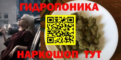 мяу мяу мука Кунгур