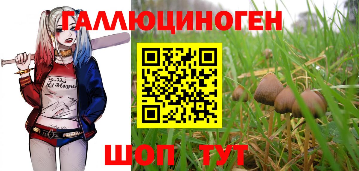 Галлюциногенные грибы прущие грибы Гай