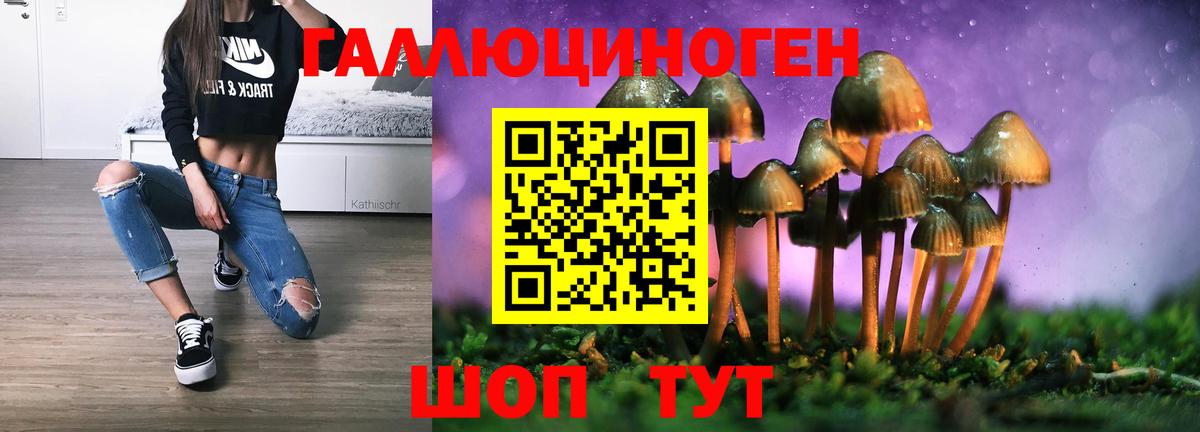 Псилоцибиновые грибы Magic Shrooms  Вход с VPN  Гай 
